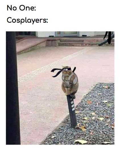 funny-no-one-cosplay