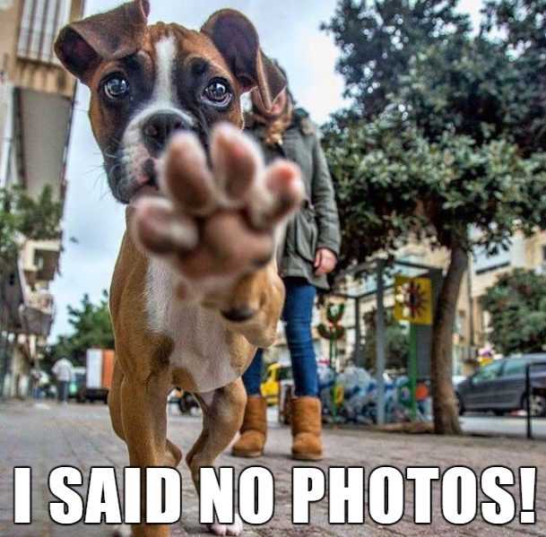 funny-no-photos