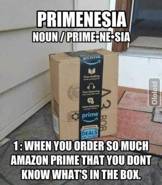 30 Funny Amazon Memes That Are Pretty Prime - The Funny Beaver