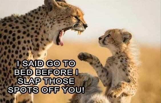 funny-slap-spots