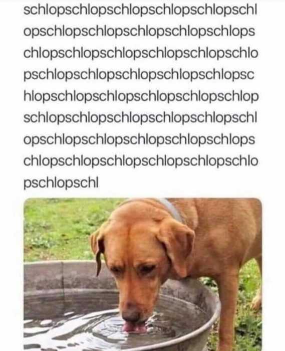funny-slurp-slurp