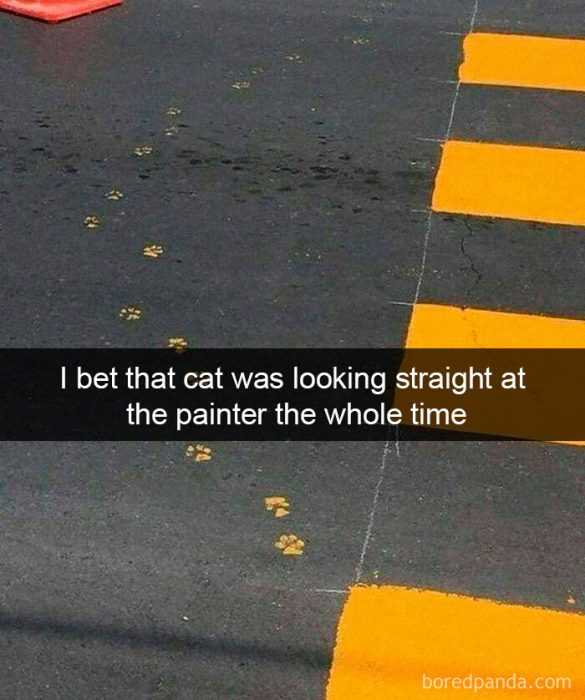 funny-straight-at