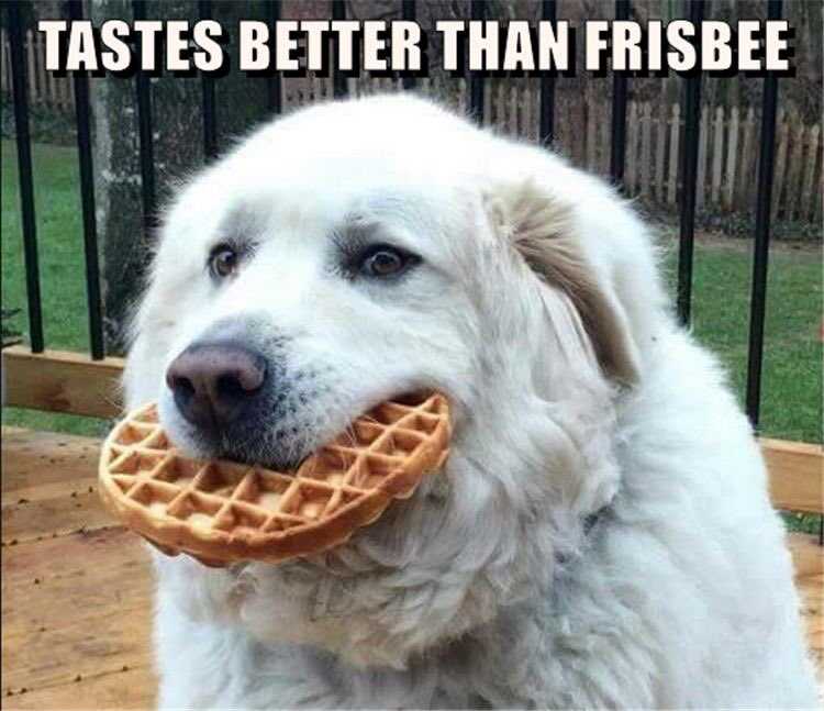 funny-tastes-better