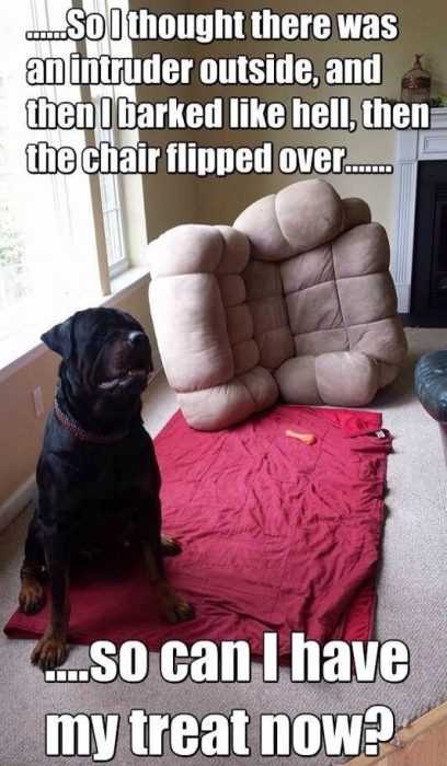 funny-thought-intruder