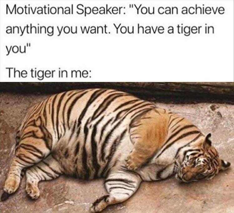funny-tiger-in-me