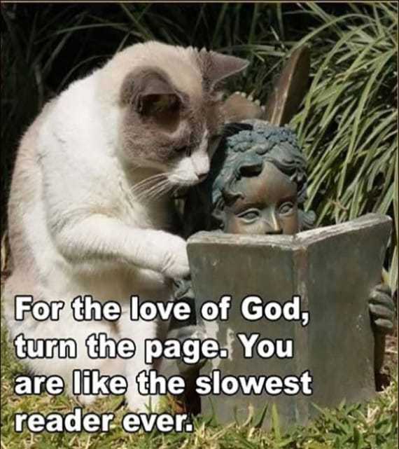 funny-turn-the-page