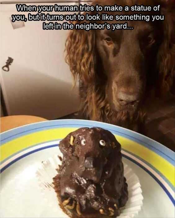 funny-turns-yard