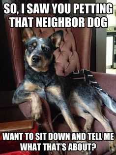 funny-wanna-sit