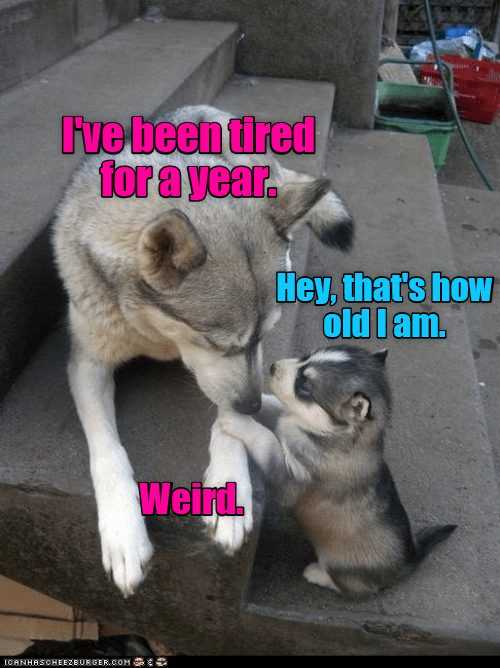 funny-weird