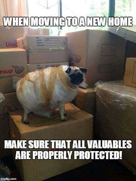 funny-when-moving
