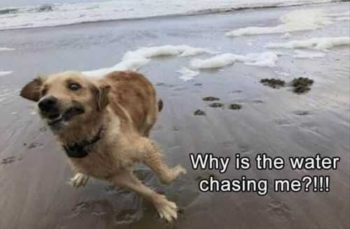 funny-why-is-water