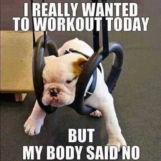 funny-work-out-say-no