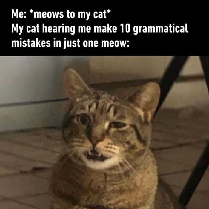 cat 10 grammar