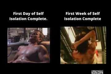 Lockdown Memes  Meme Showing Difference Between 1 Day Of Isolation Vs 1 Week Of Isolation