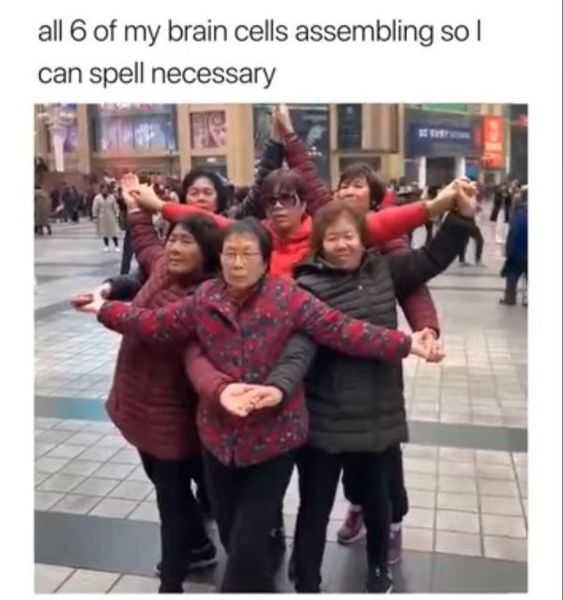 funny-6-brain-cells