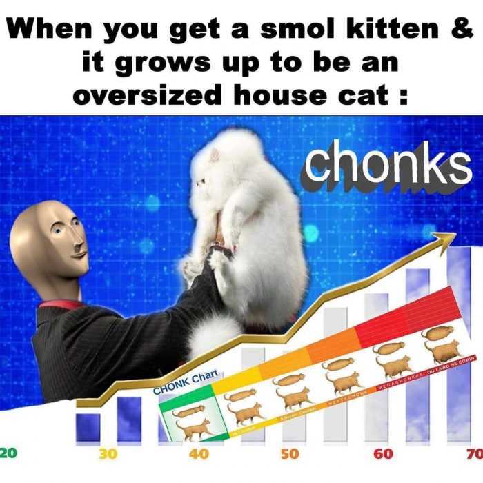 funny-chonks 25 Funny Pictures Cause Monday is Coming Around Again