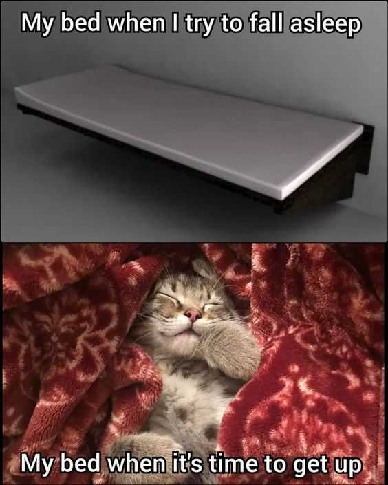 funny-fall-bed