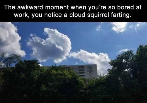funny-squirrel-cloud