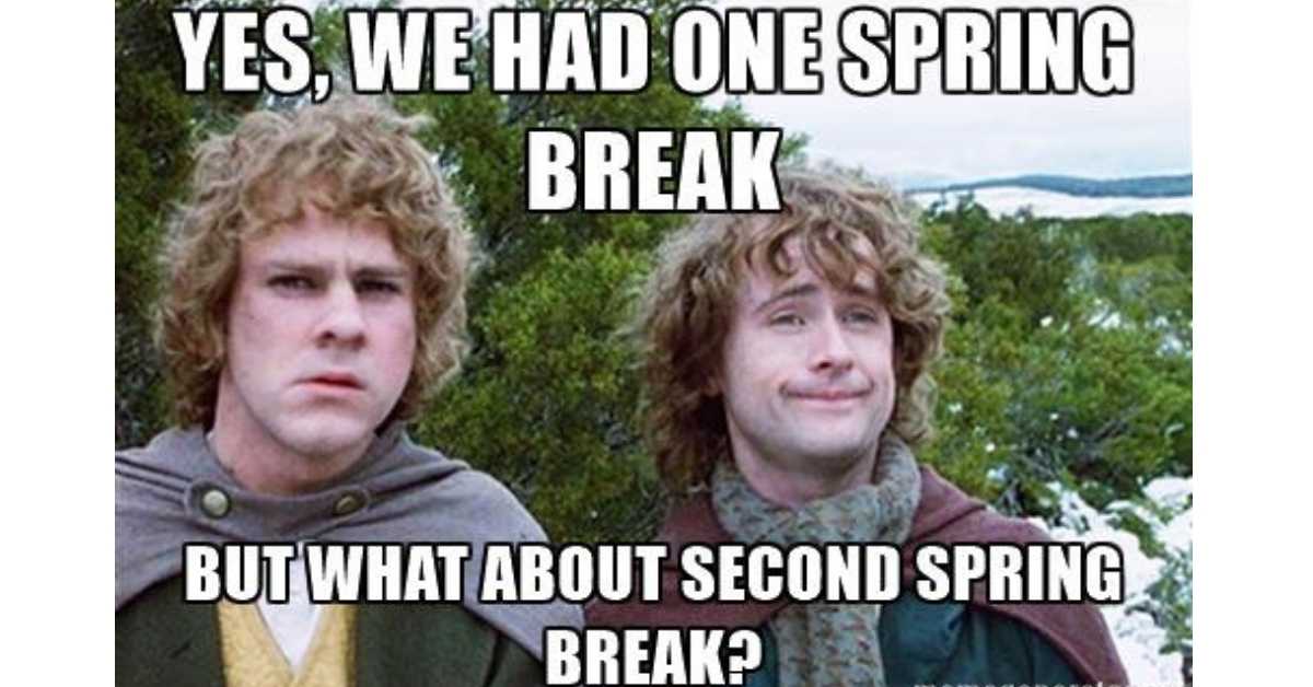 32 Funny Spring Break Memes - The Funny Beaver