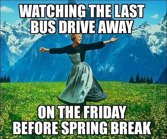 spring last bus