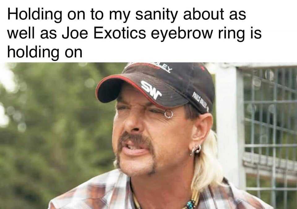 tiger king memes  joe exotics eyebrow ring