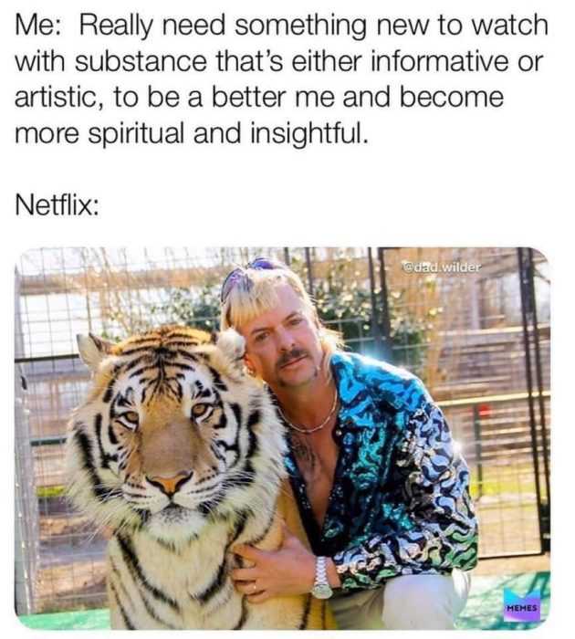 tiger king memes  tiger king on netflix
