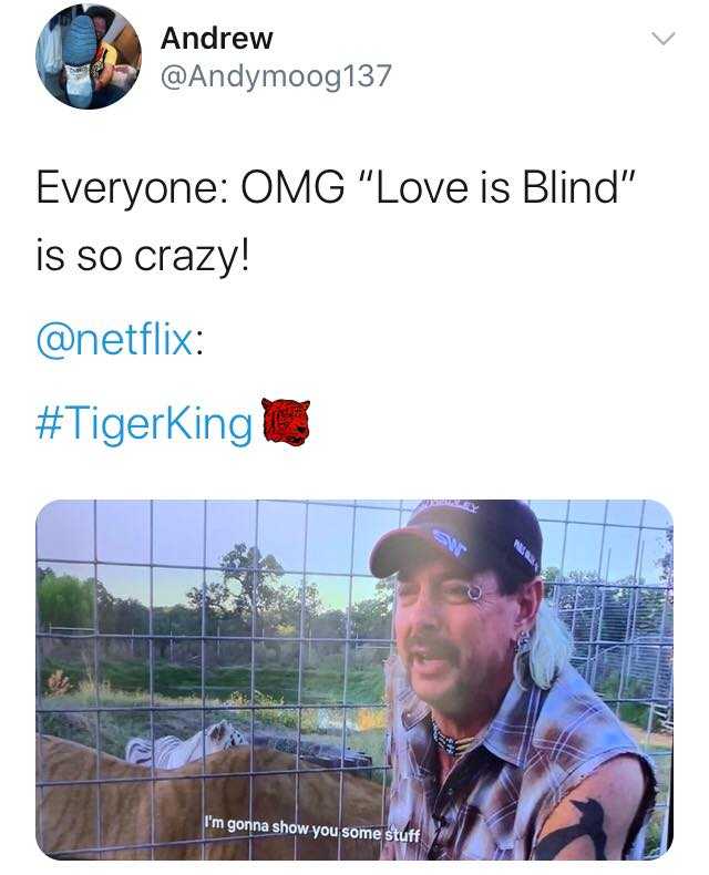 tiger king memes  love is blind vs tigerking