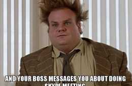 Work Skype Meeting