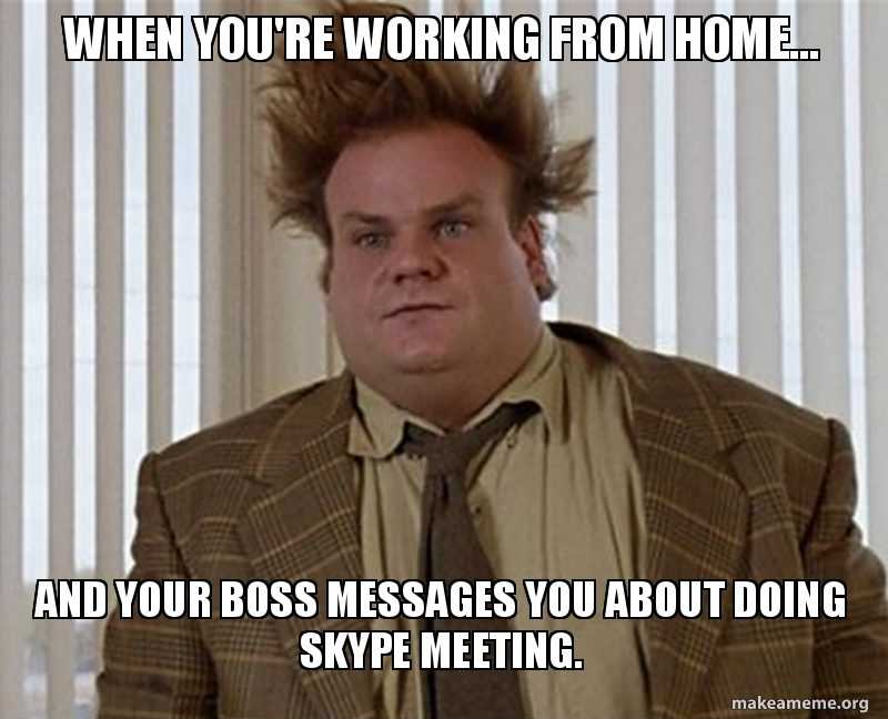 Image result for working from home meme