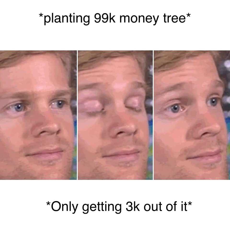 ac 99k tree