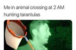 Ac Hunting