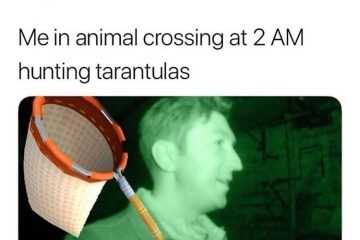 Ac Hunting