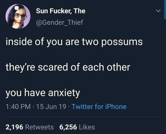 anxiety two possums