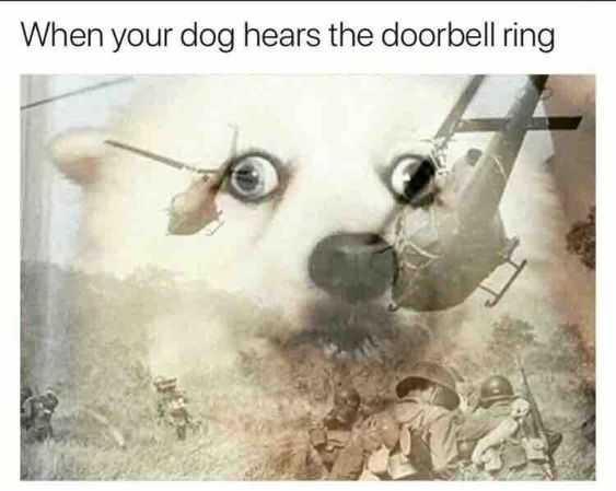 funny-door-bell