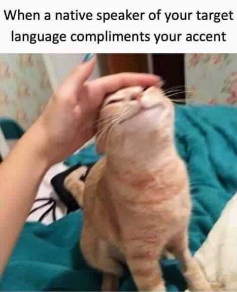 funny-native-speaker