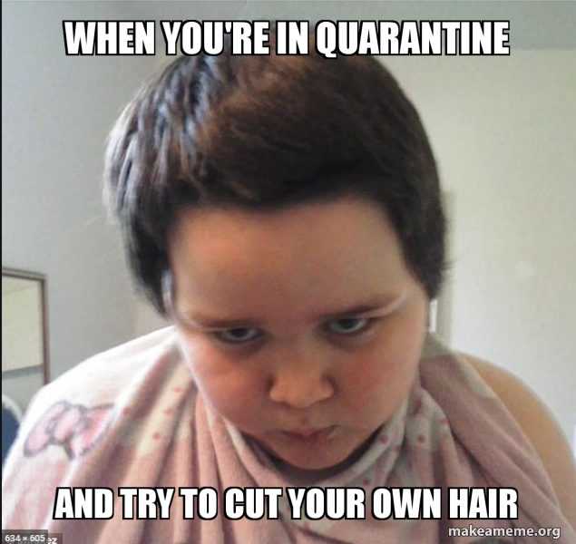 32 More Funny Quarantine Memes Quarantinelife Stircrazy