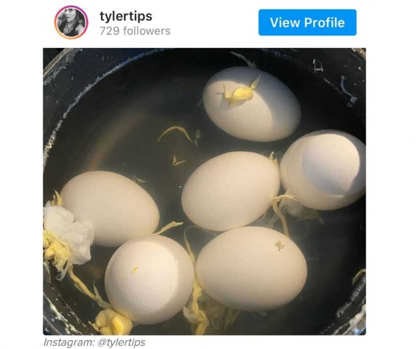 work-from-home-fail-13 work from home fails - boiling eggs while working from home 2