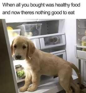 meme featuring a dog looking sad in an open fridge with the caption when you bought healthy food and now there is nothing good to eat