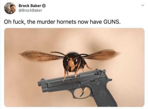 meme featuring a murder hornet carrying a pistol