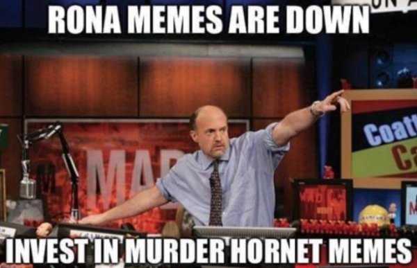 meme featuring jim cramer saying rona memes are down so invest in murder hornet memes
