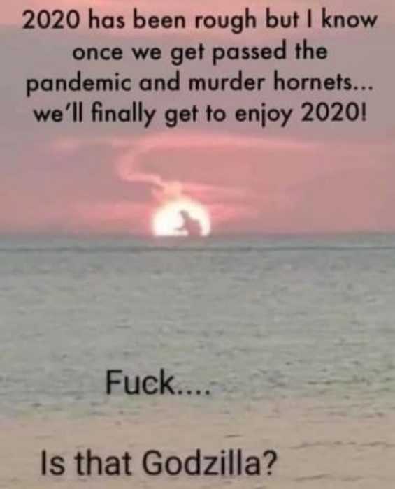 meme showing once pandemic and murder hornets are done, we can enjoy 2020