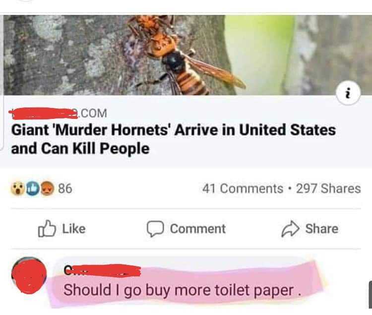 meme featuring a news report of murder hornets arriving in the US and someone commenting if they should get more toilet paper
