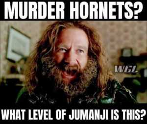 meme feature robin williams asking what level of jumanji has murder hornets
