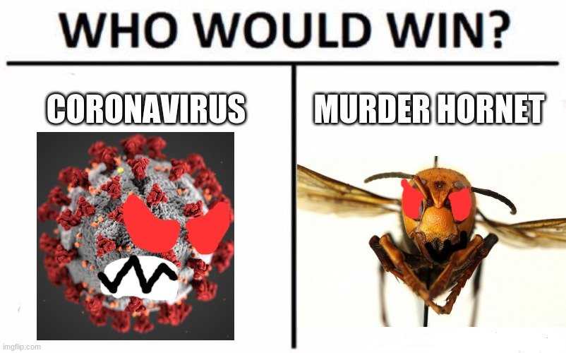 42 Murder Hornet Memes Because This Is Seriously A New Level Of Chaos