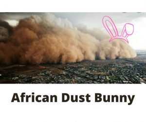 african dust bunny meme