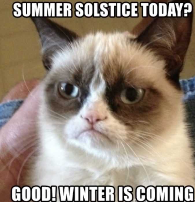 grumpy cat summer solstice meme