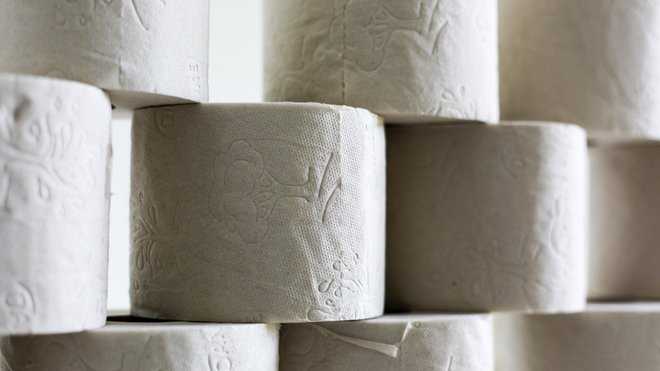 best-zoom-background-10 toilet paper wall zoom background