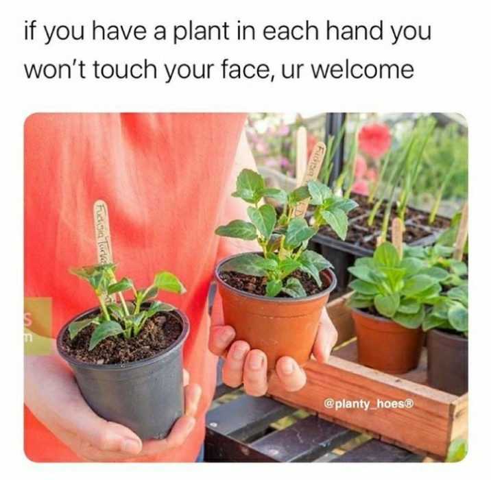 garden plant in each hand