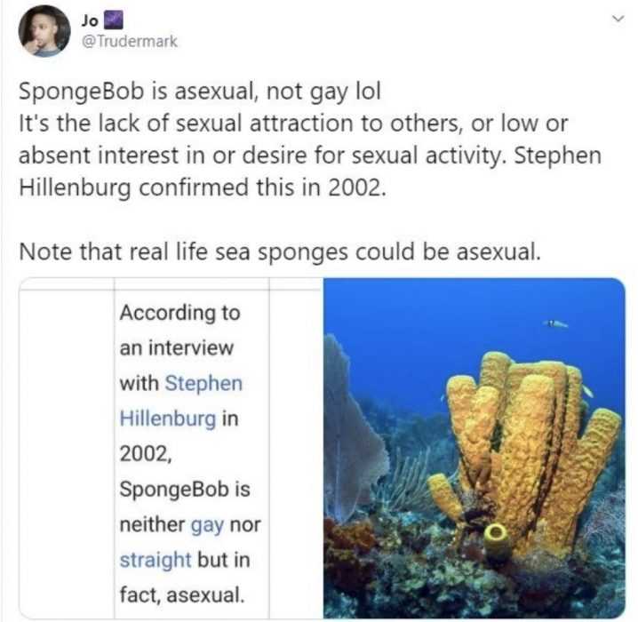 spongebob asexual meme