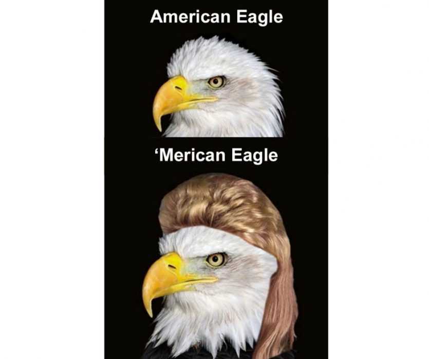 american eagle vs 'merican eagle with karen hair